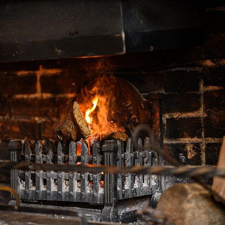 The Lazy Lion Bed and Breakfast Milford on Sea Exteriör bild